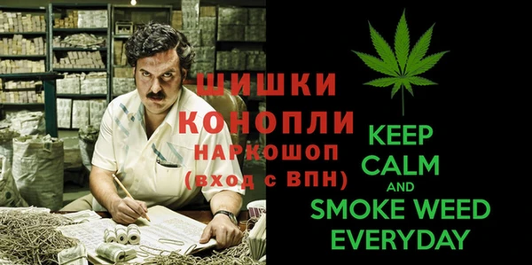 мяу мяу мука Кинешма