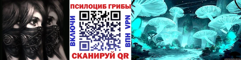 Галлюциногенные грибы Psilocybine cubensis Бабаево