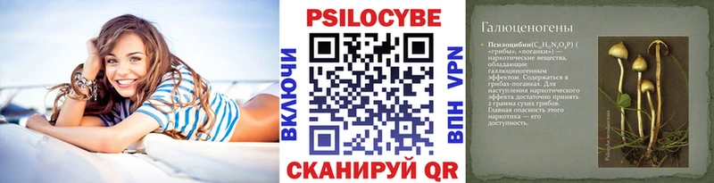Купить  Бабаево  Псилоцибиновые грибы Psilocybine cubensis 